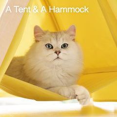 Cat Tent