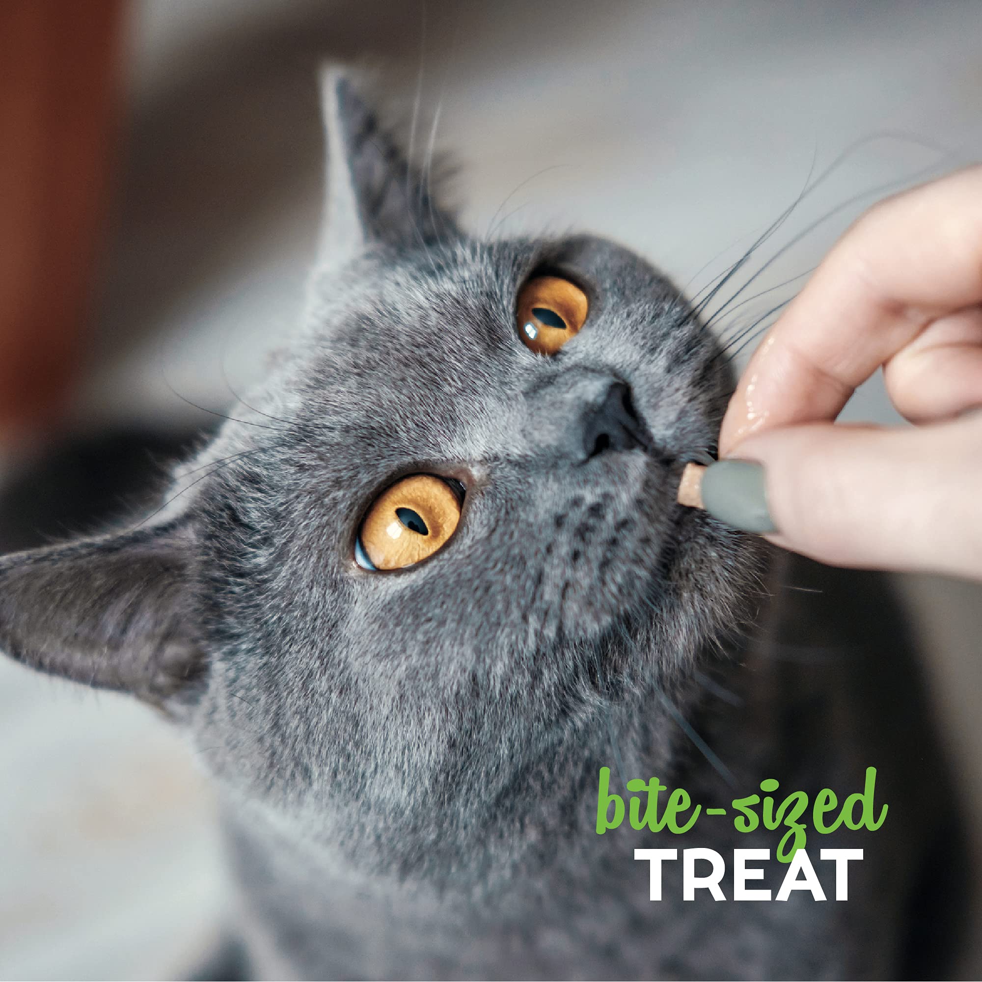 Cat Treats Made with Natural Tender Chicken