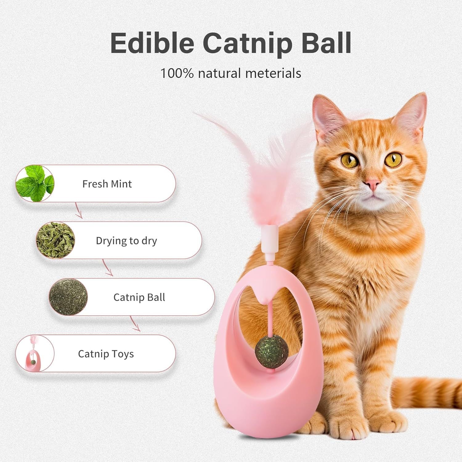 Cat Toy With Catnip Balls