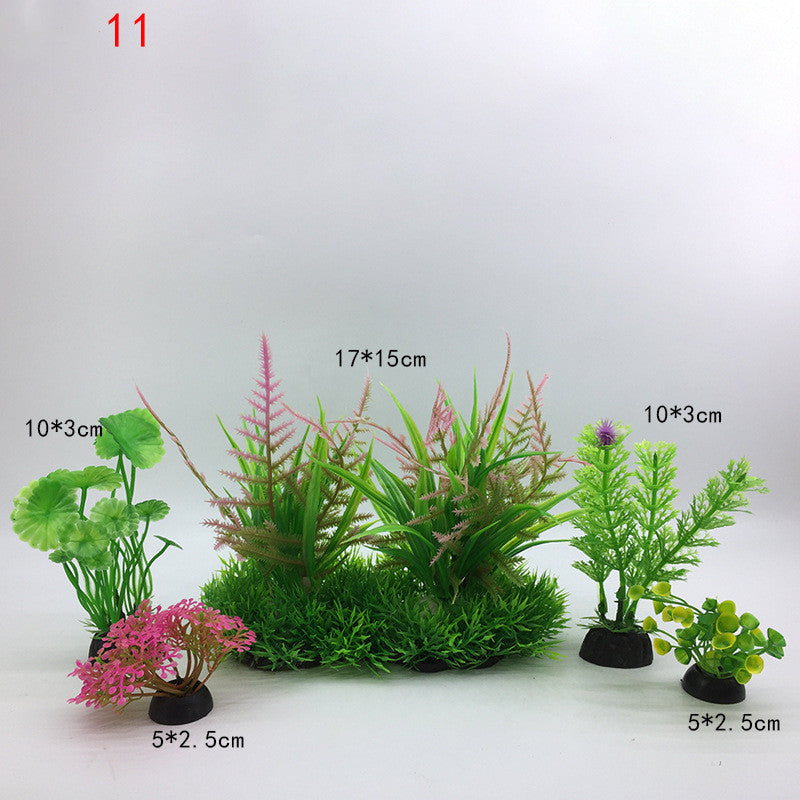 Plants for the aquarium