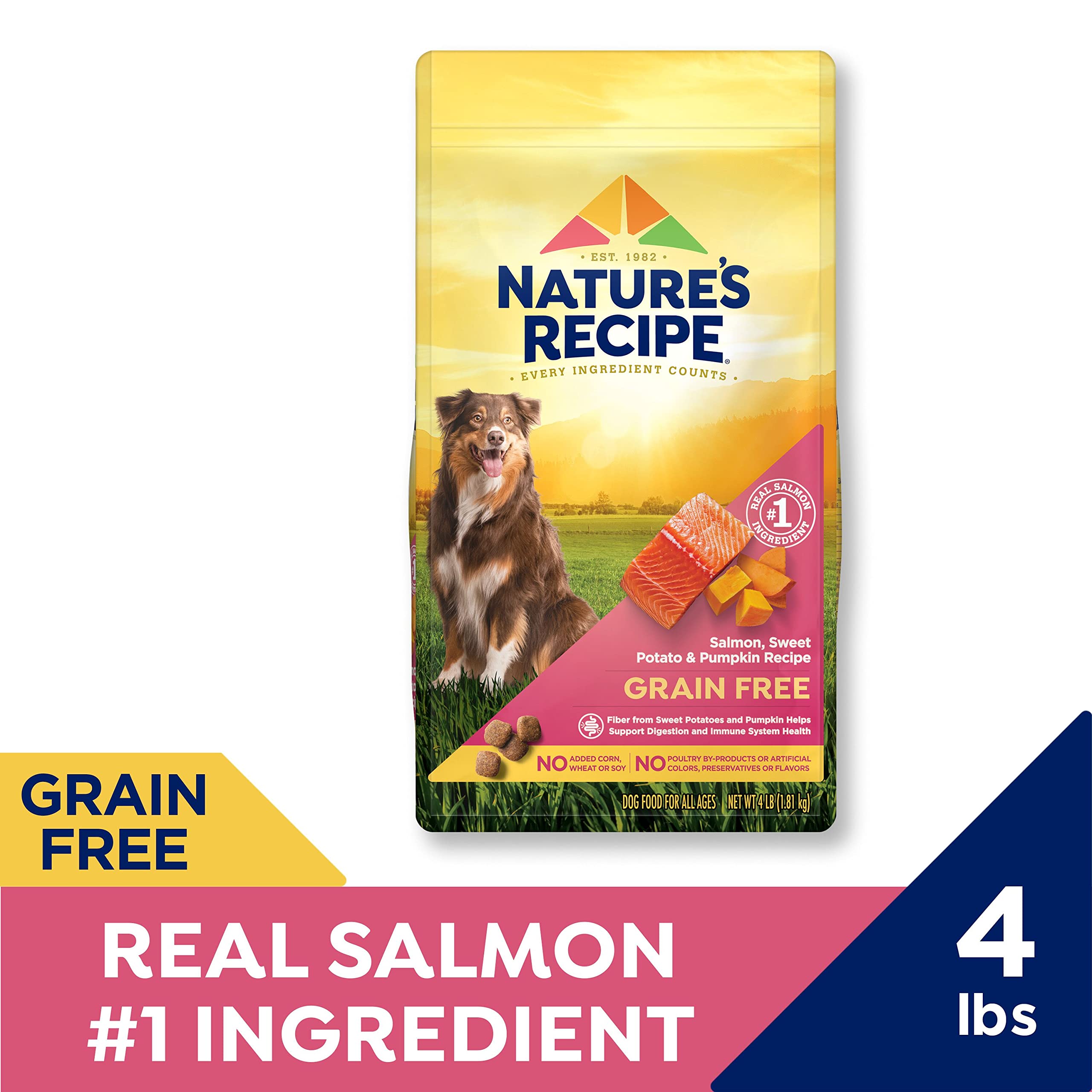 Nature′s Recipe Grain Free Salmon, Sweet Potato & Pumpkin Recipe Dry Dog Food, 4 lb. Bag