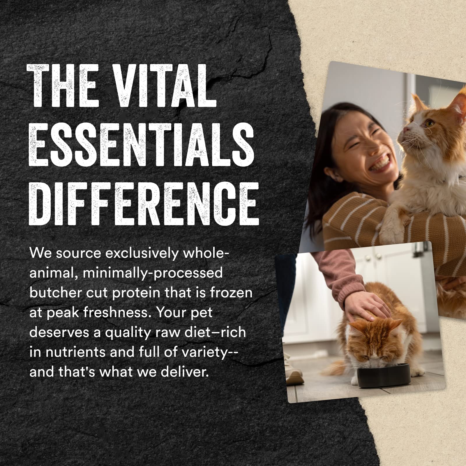 Vital Essentials Freeze Dried Raw Cat Treats, Salmon Bites, 1.1 oz