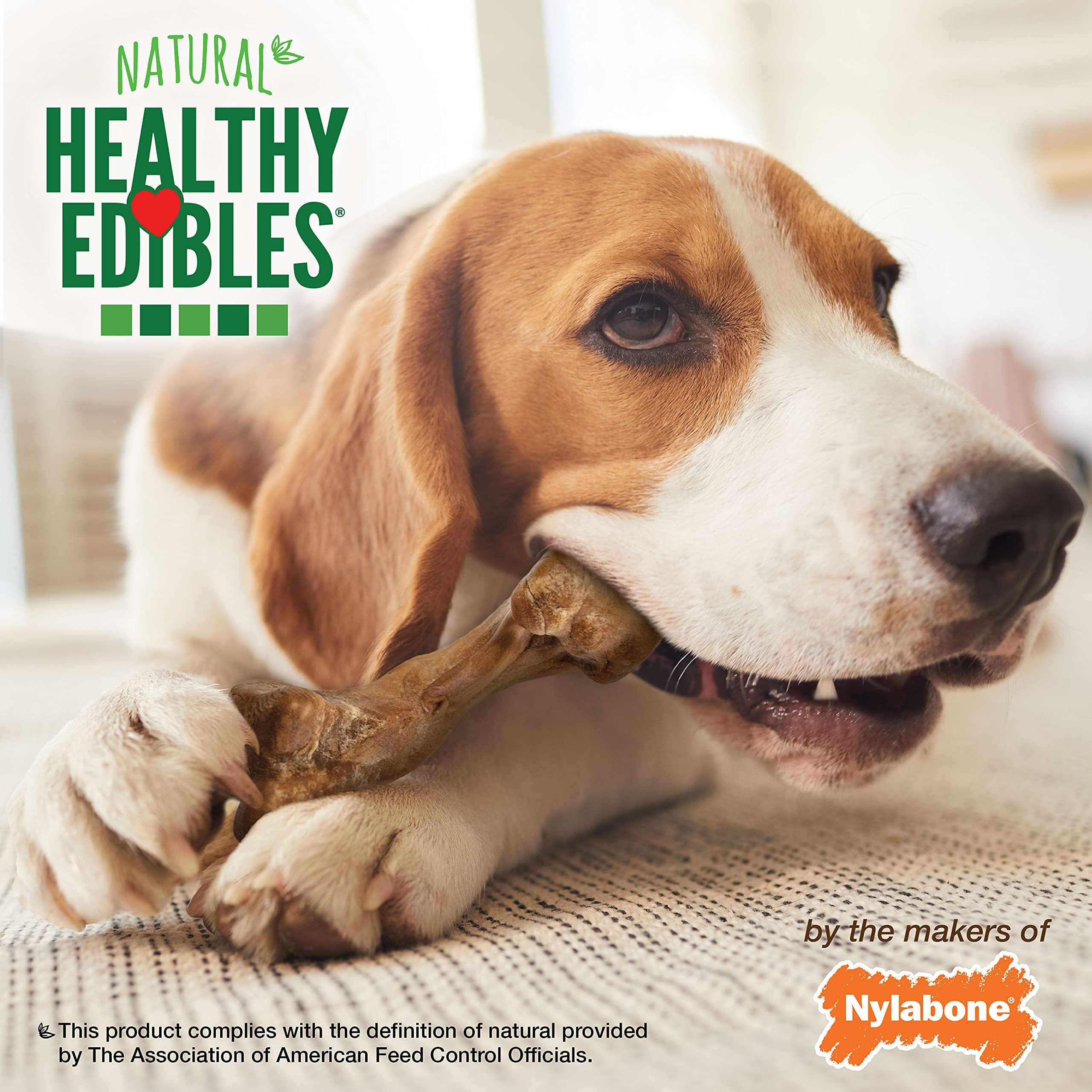 Nylabone Healthy Edibles WILD Natural Long-Lasting Bison Flavor Bone Chew Treats for Dogs, Medium (2 Count)