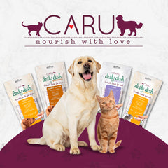 CARU - Daily Dish Smoothies - Lickable Chicken Cat Treat - 4 Pack, 5oz Tubes