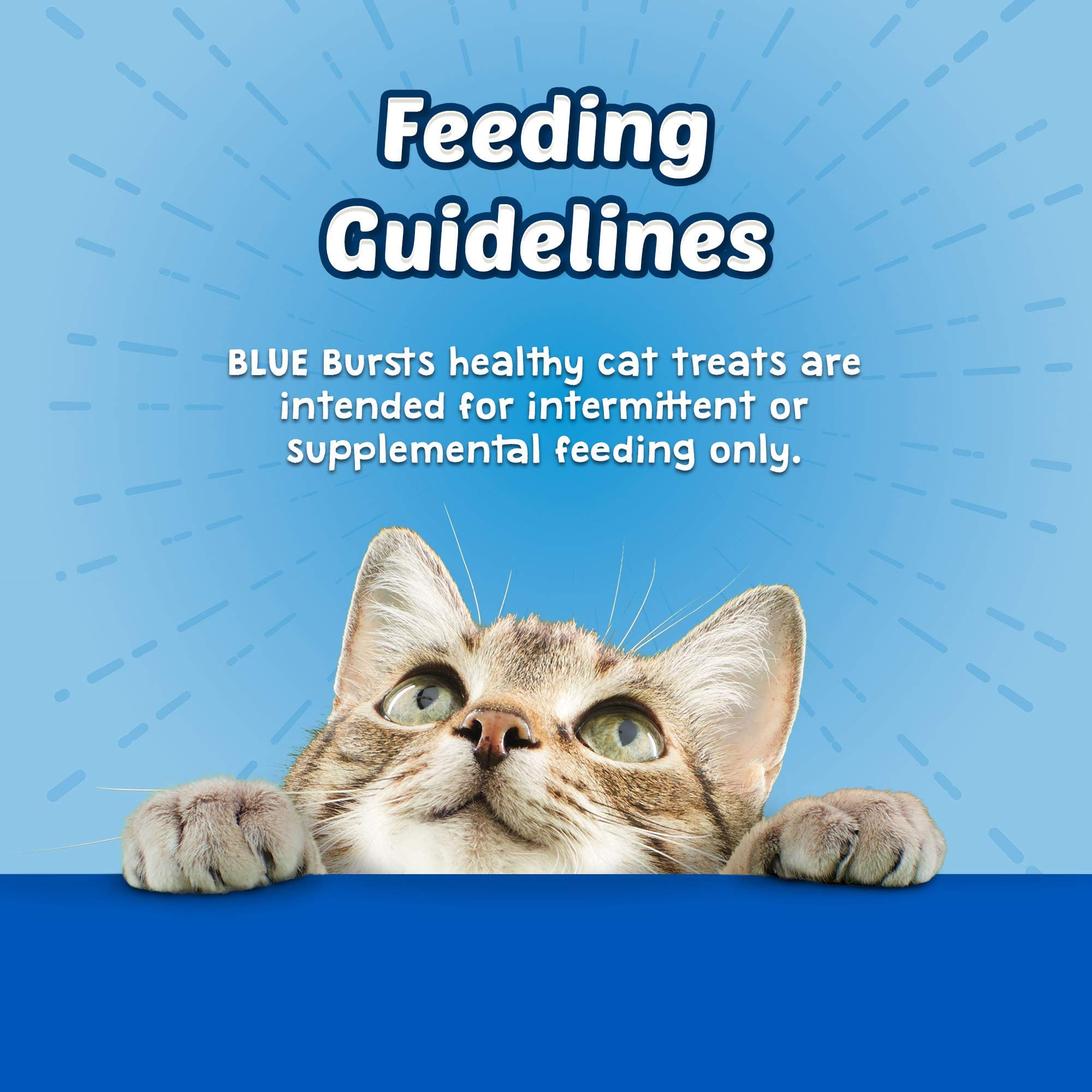 Blue Buffalo Homestyle Recipe Adult Wet Dog Food, Made with Natural Ingredients, Chicken Dinner With Garden Vegetables, 12.5-oz. Can (Pack of 12)