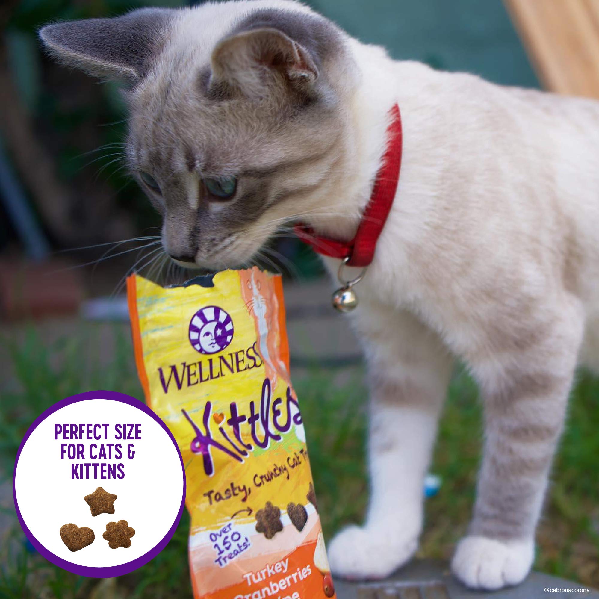 Wellness Crunchy Kittles Cat Treat Variety Pack: Grain-Free, Made with Natural Ingredients and Real Protein (Chicken, Salmon, Tuna Varieties)