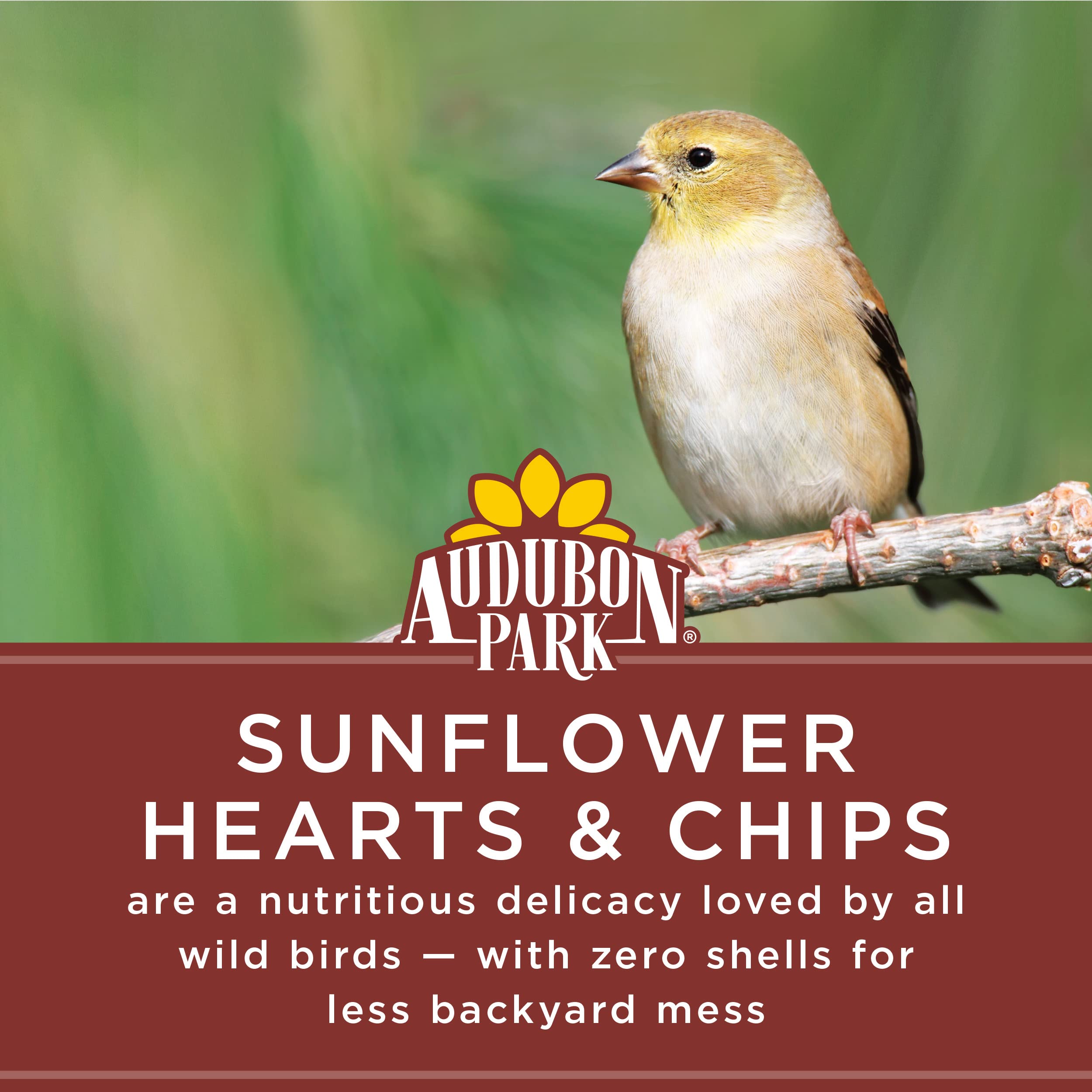 Audubon Park 12224 Sunflower Hearts & Chips Wild Bird Food, 5-Pounds, 5 Pound (Pack of 1)