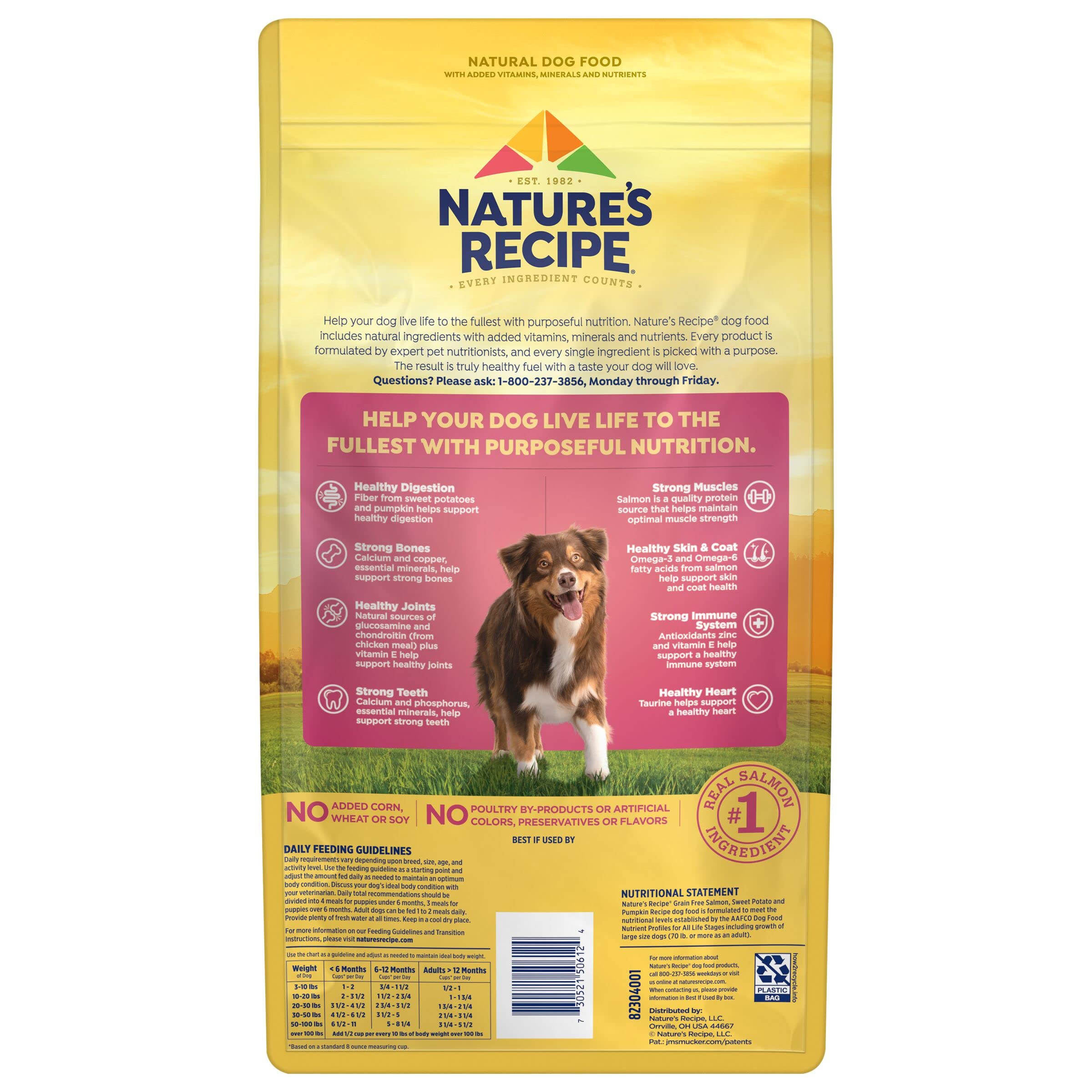 Nature′s Recipe Grain Free Salmon, Sweet Potato & Pumpkin Recipe Dry Dog Food, 4 lb. Bag