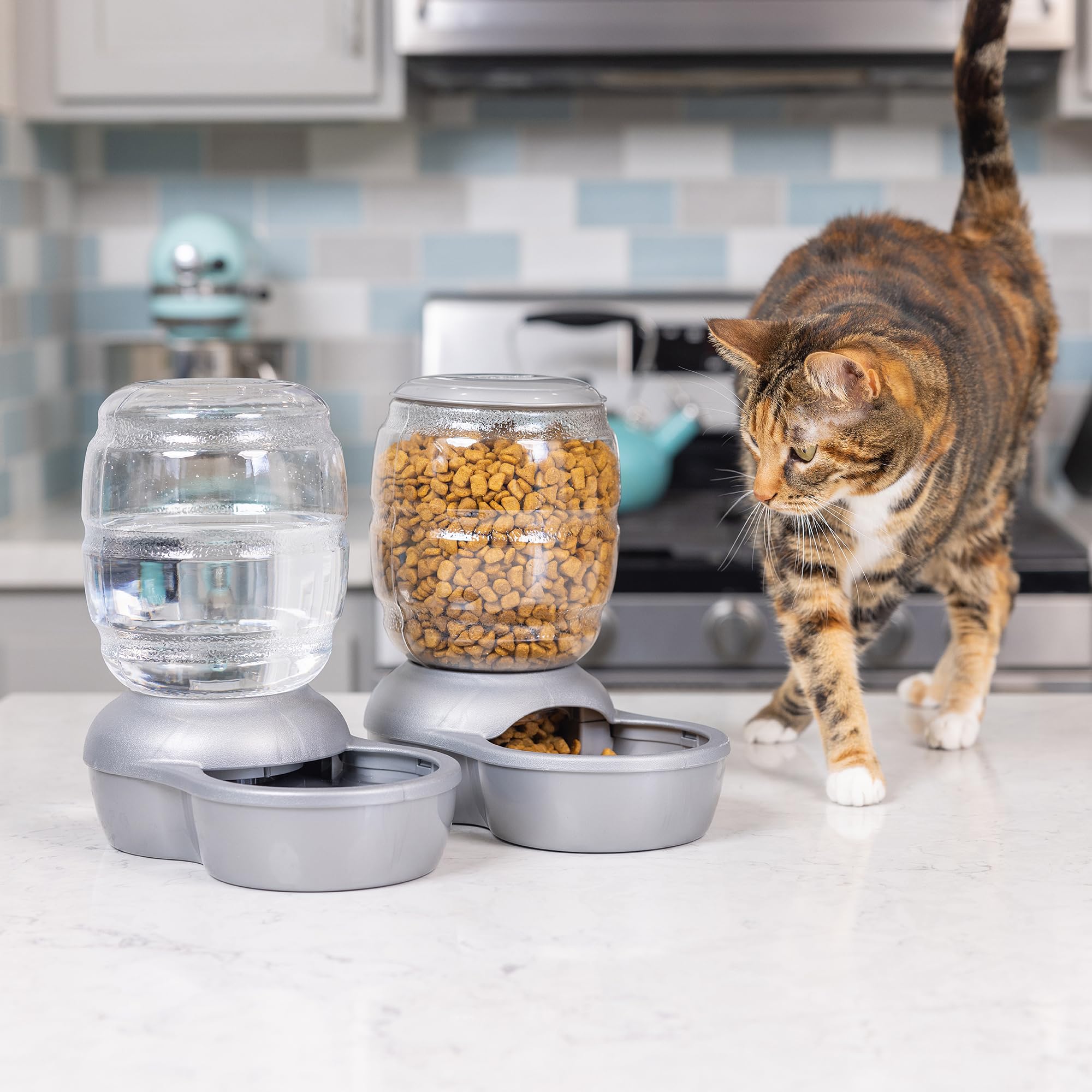 Automatic Gravity Waterer for Cats and Dogs