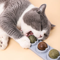 Catnip Ball