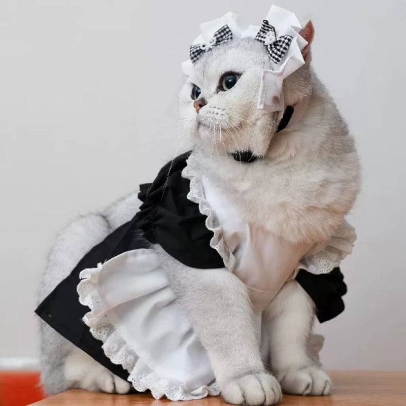 cat costumes