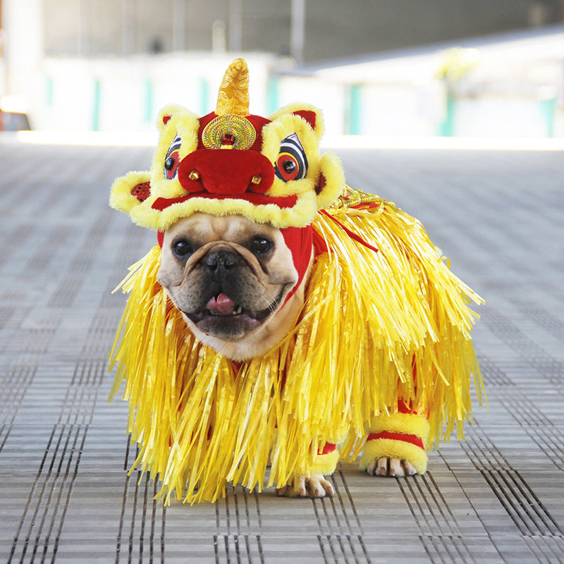 Pet Costume Little Lion Clothes