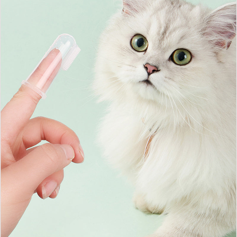 Oral Hygiene Kit For Cats And Dogs