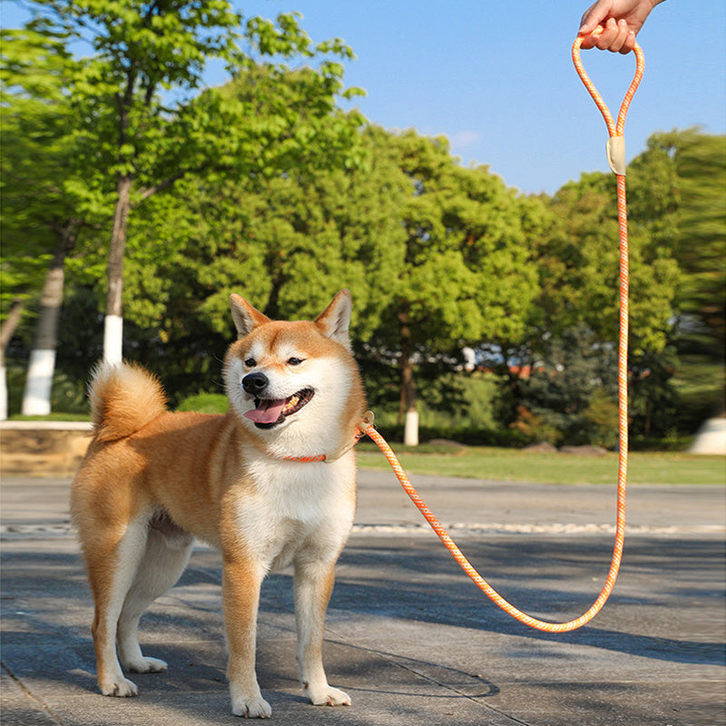 Strap Traction Rope, Dog Leash-Free and fast shipping