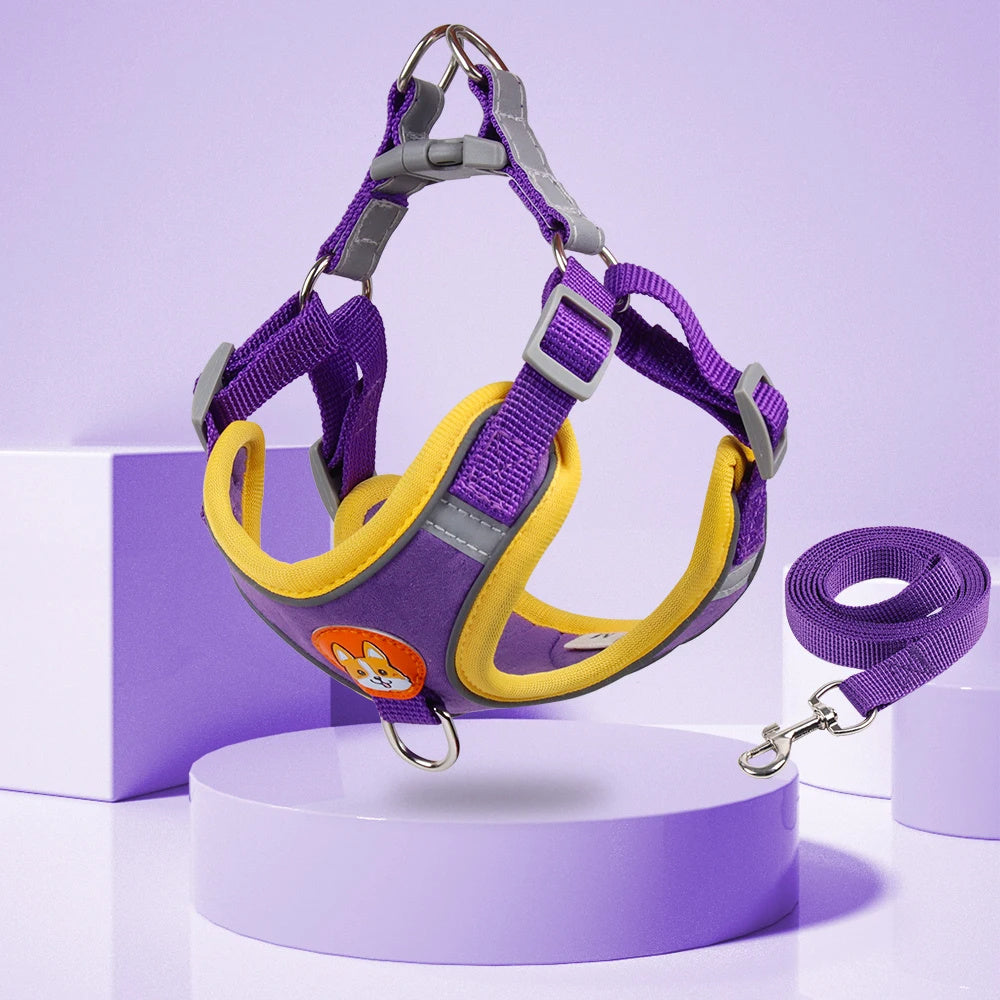 Dog Leash And Harness