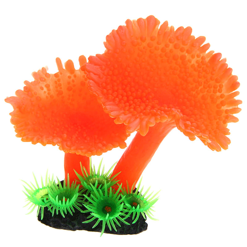 Simulation of coral plants