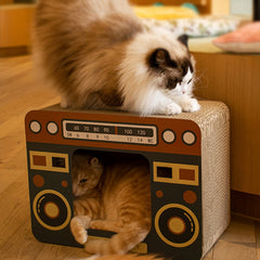 Scratch Board Litter Box