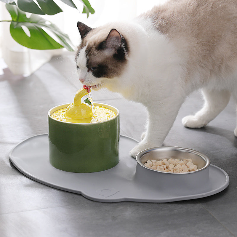 rabbit model-olive green drinking fountain