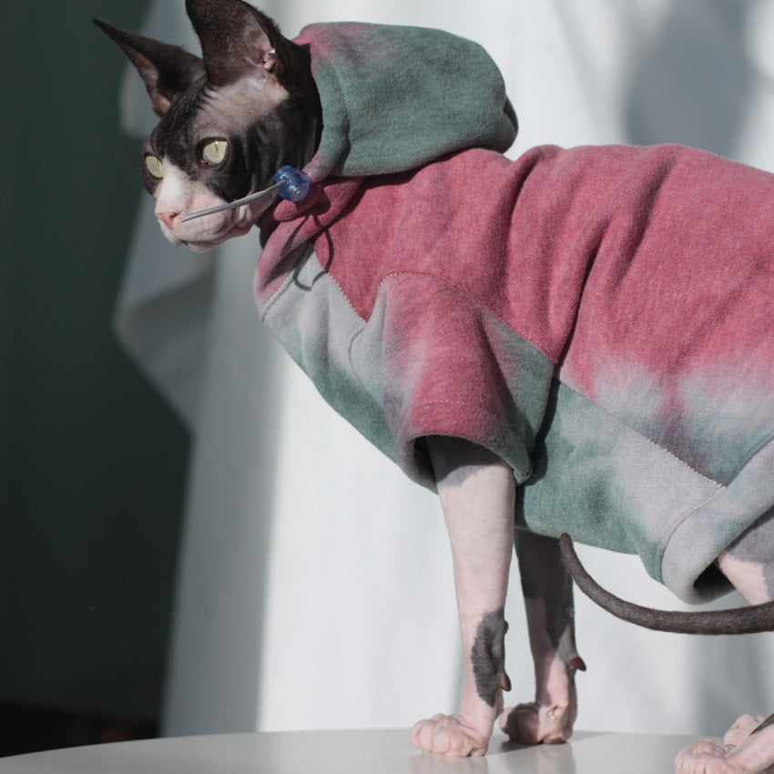 Clothes for cats