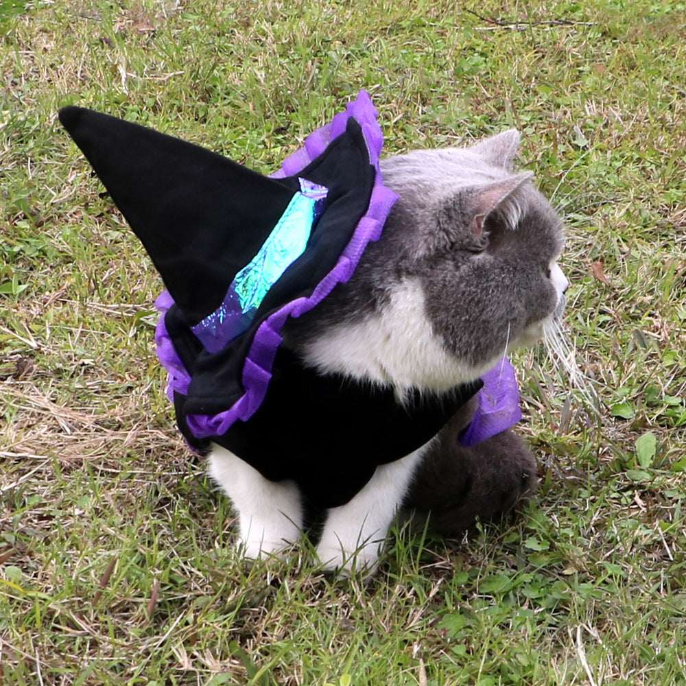 Christmas Wizard Pet Halloween