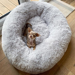 Pet Bed-Free and fast shipping