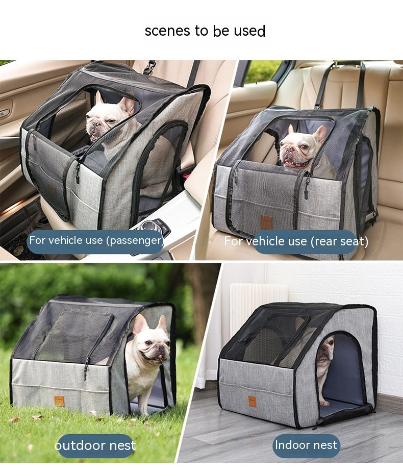 Pet Car Dog