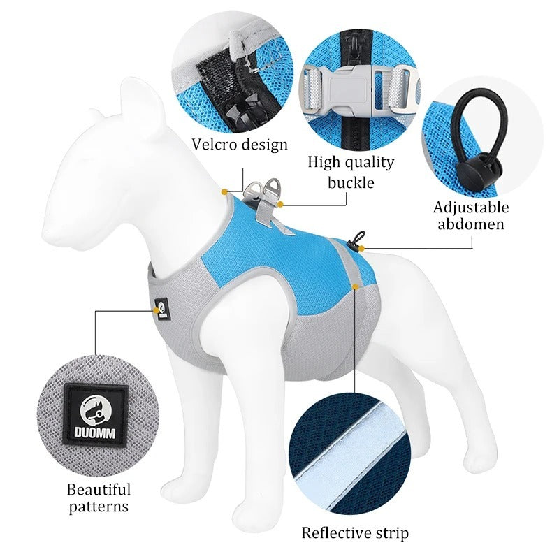 Pet Traction Vest