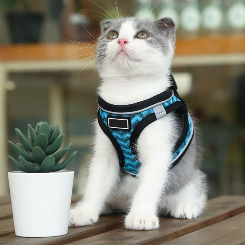 Pet Chest Harness