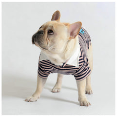 Polo Casual Pet Sweater