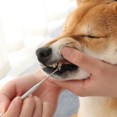 Pet beauty pen