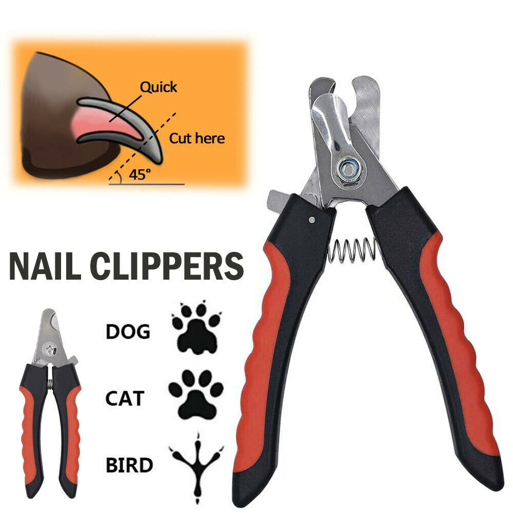 Pet Nail Clippers-Free and fast shipping