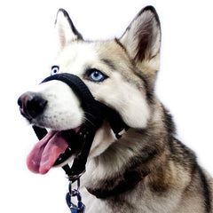 Dog Mask Mouth Cover