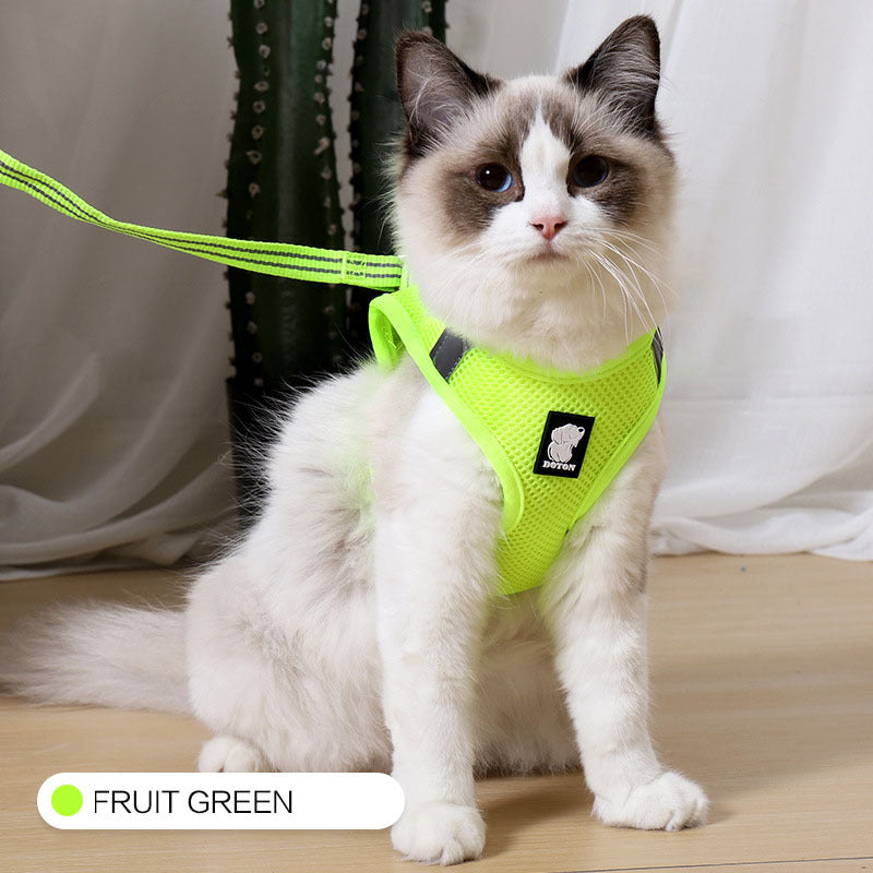 cat harness