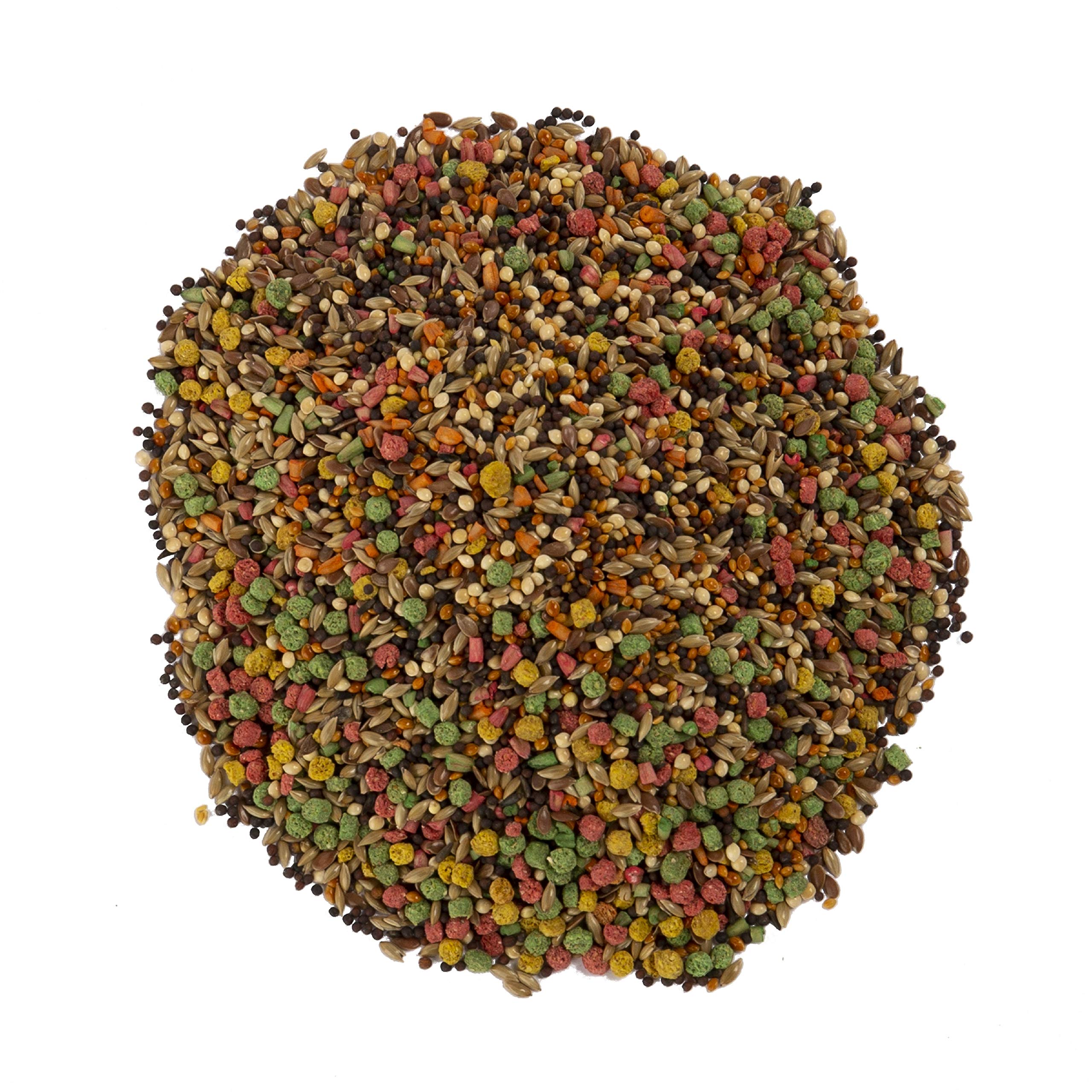 Wild Harvest B12492Q-001 Canary and Finch Food Blend, One Size, 2 Pound (Package May Vary)