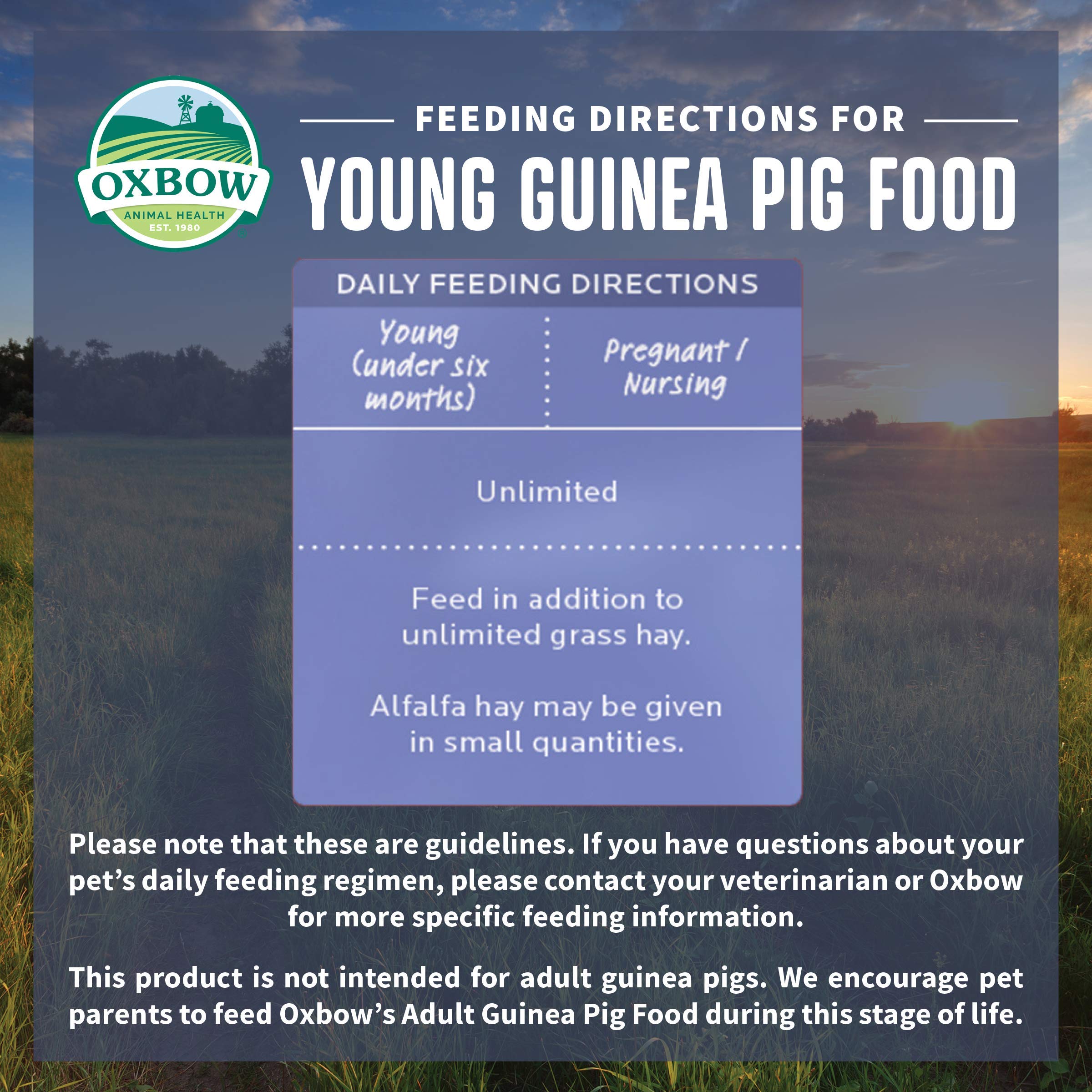 Oxbow Animal Health Garden Select Young Guinea Pig Food, Garden-Inspired Recipe for Young Guinea Pigs, No Soy or Wheat, Non-GMO, Made in The USA, 4 Pound Bag