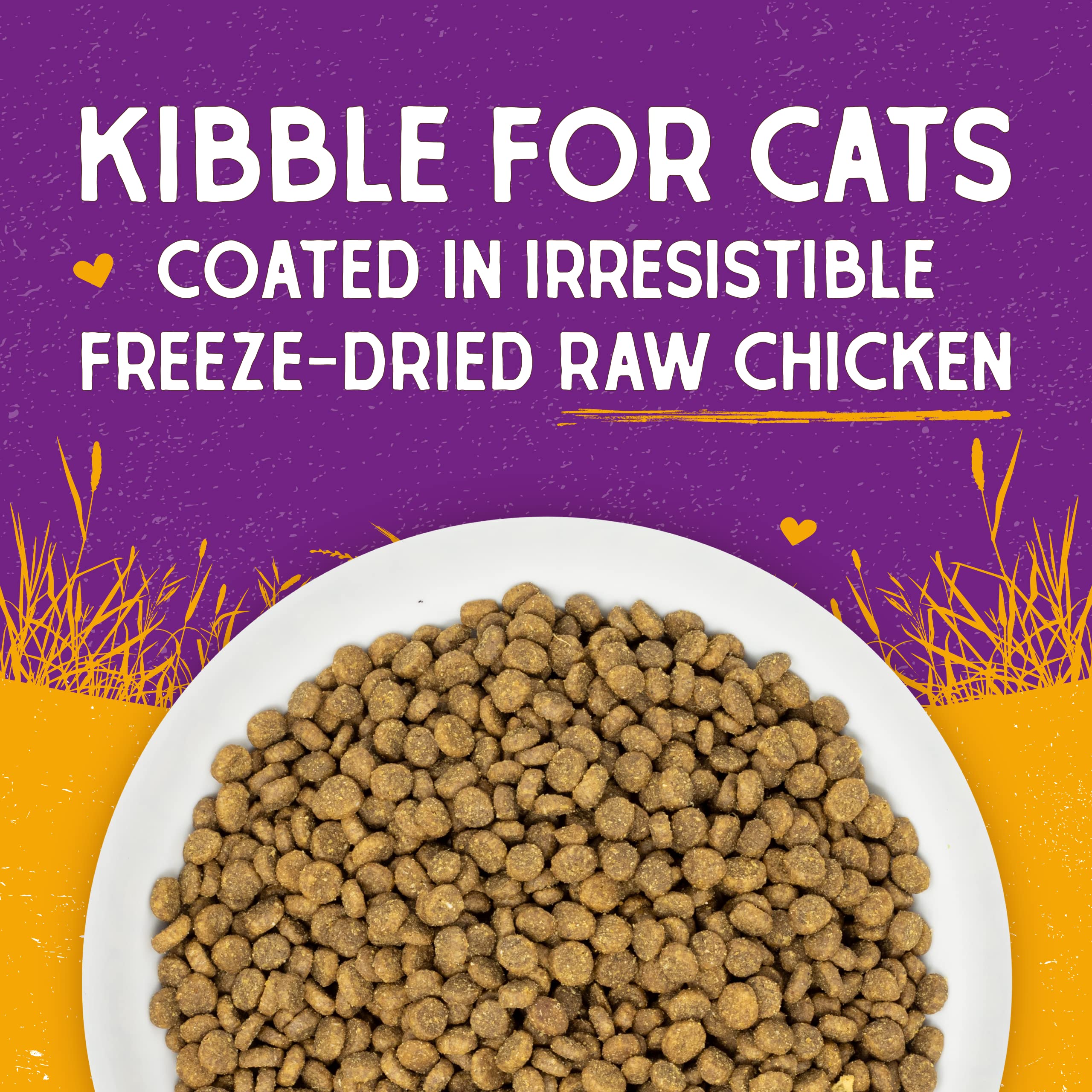 Stella & Chewy's Raw Coated Premium Kibble Cat Food – Grain Free, Protein Rich Meals – Cage-Free Chicken Recipe – 2.5 lb. Bag