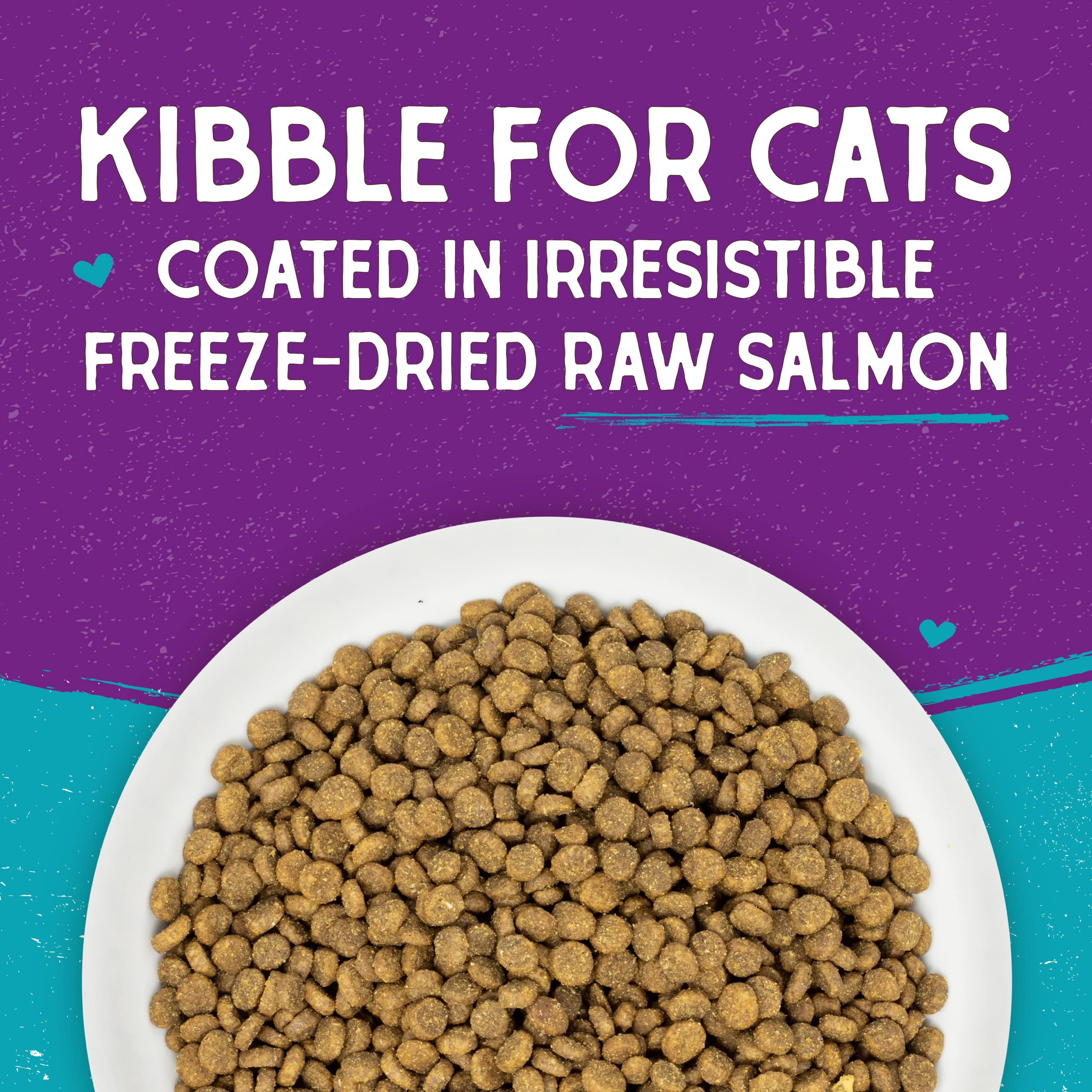 Stella & Chewy's Raw Coated Premium Kibble Cat Food – Grain Free, Protein Rich Meals – Wild Caught Salmon Recipe – 2.5 lb. Bag