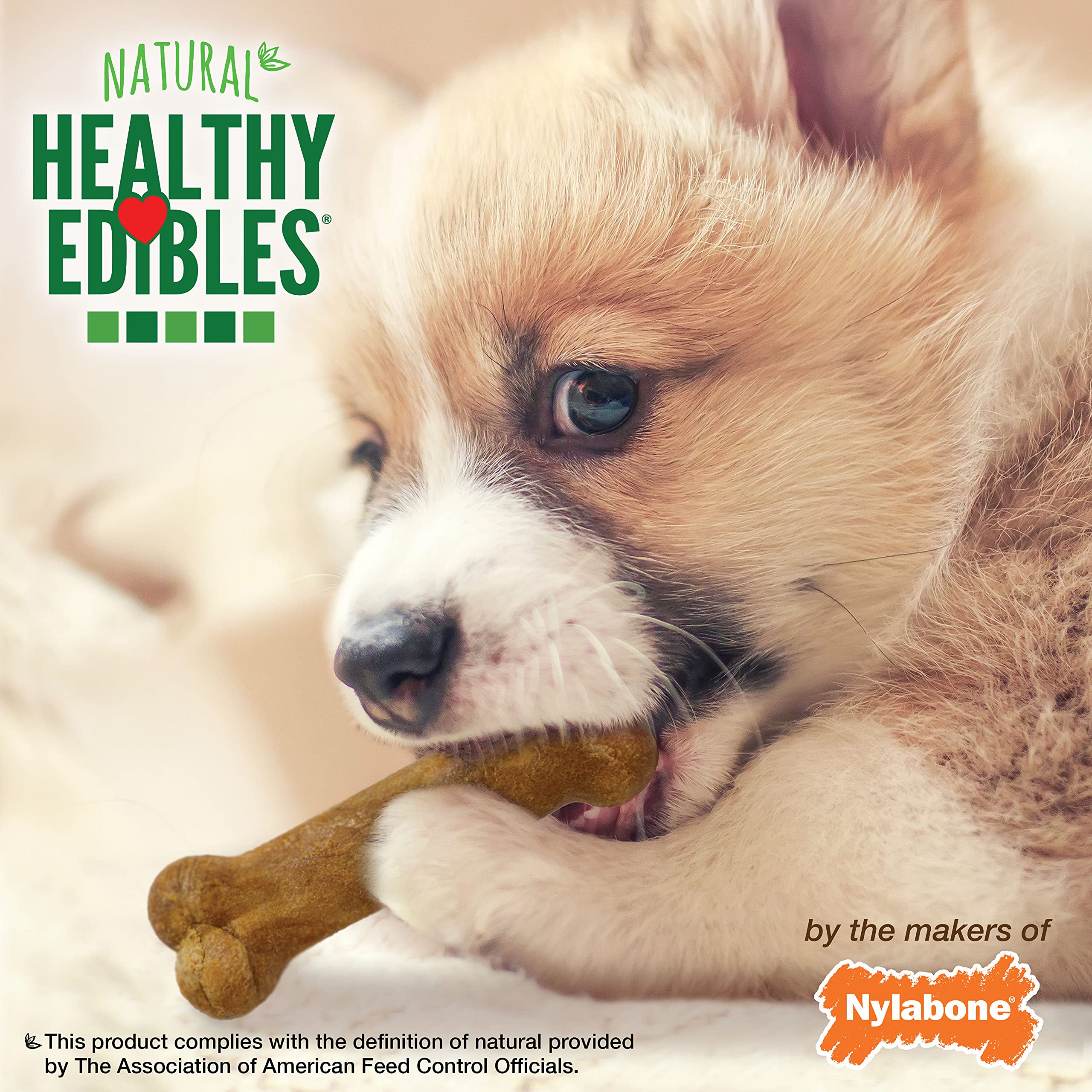 Nylabone Healthy Edibles Natural Puppy Chews Long Lasting Treats for Puppies, Roast Beef, Apple & Bacon Flavor, X-Small/Petite (3 Count)