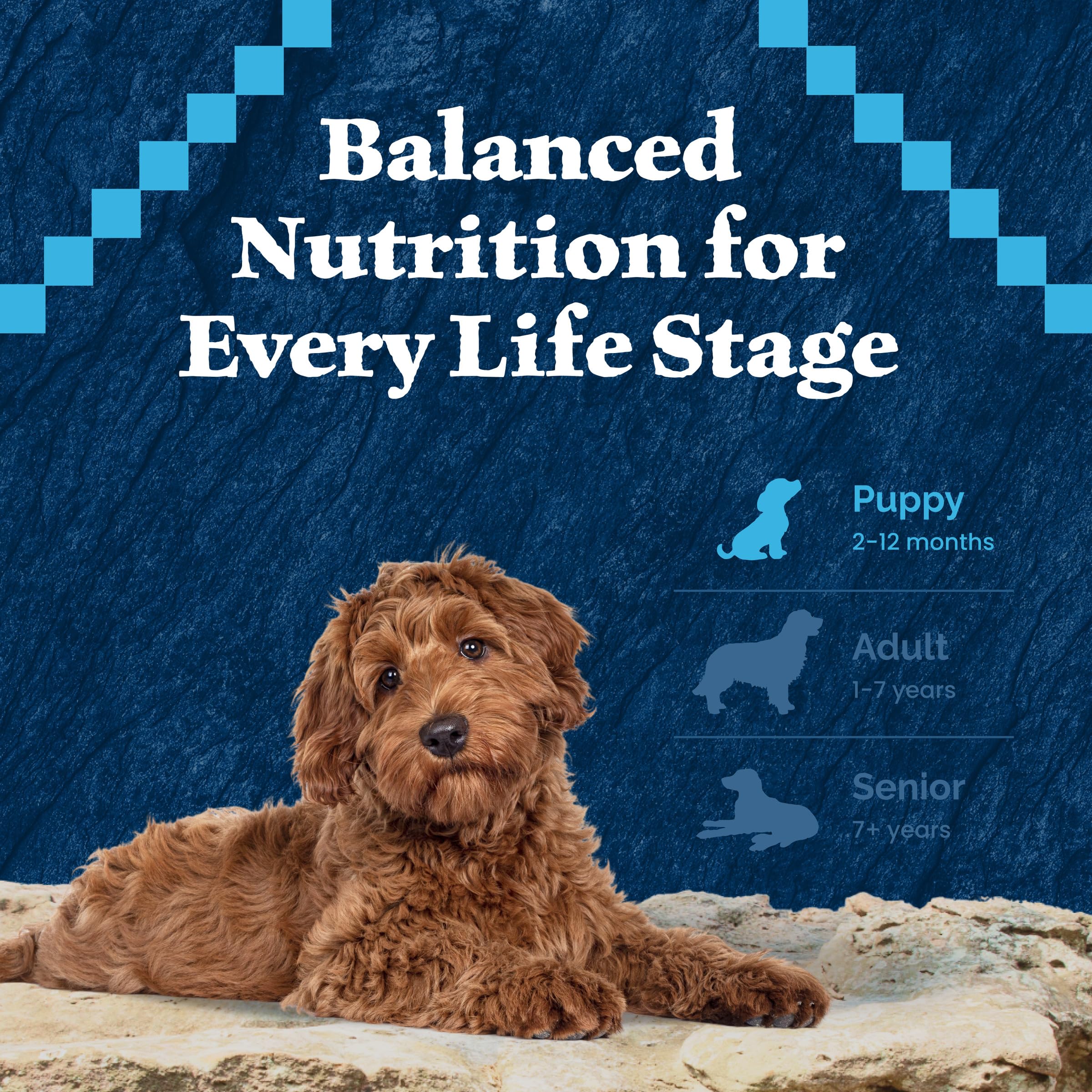 Blue Buffalo Wilderness High-Protein Natural Dry Food for Puppies, Chicken Recipe, 4.5-lb. Bag