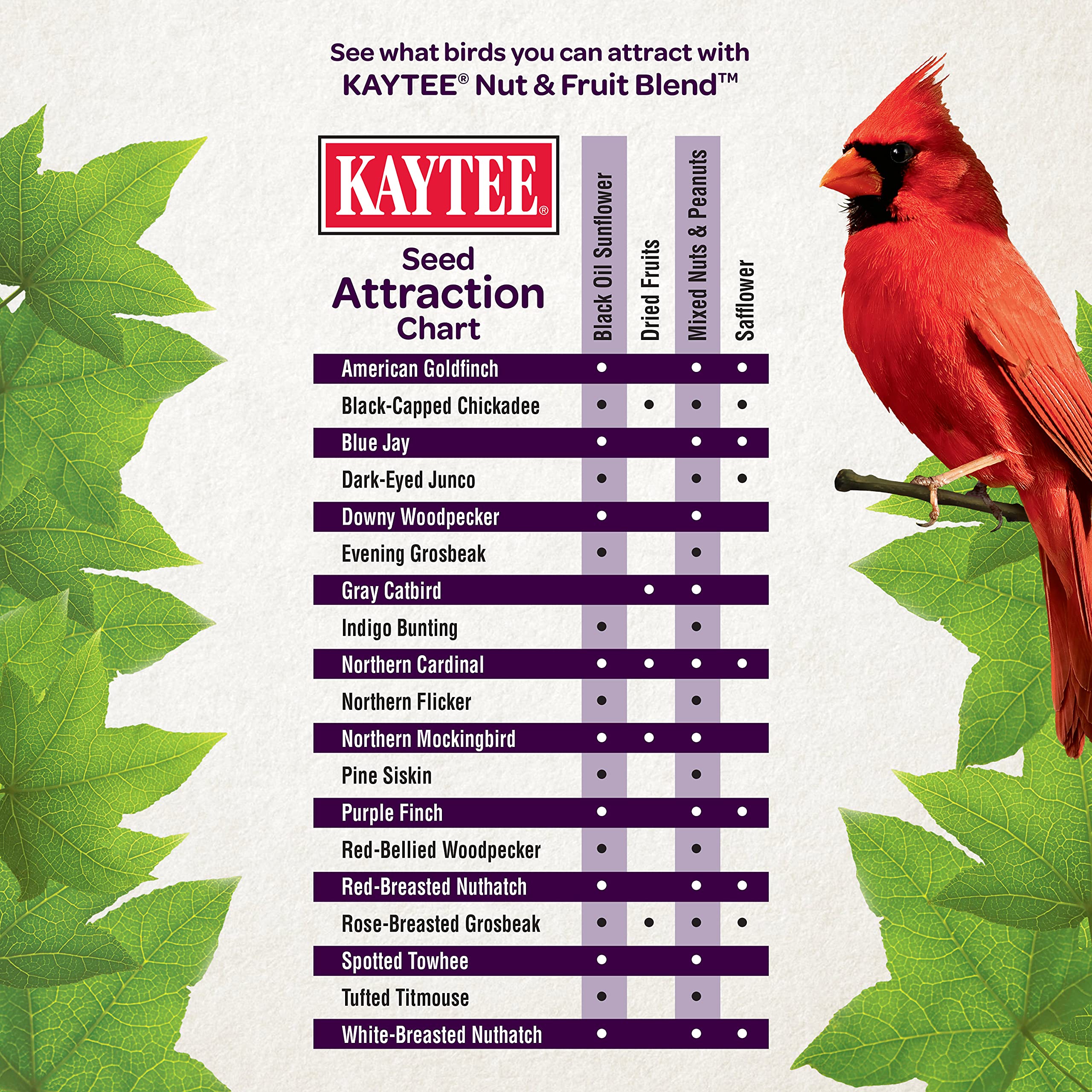 Kaytee Wild Bird Food Nut & Fruit Seed Blend For Cardinals, Chickadees, Nuthatches, Woodpeckers and Other Colorful Songbirds, 5 Pounds