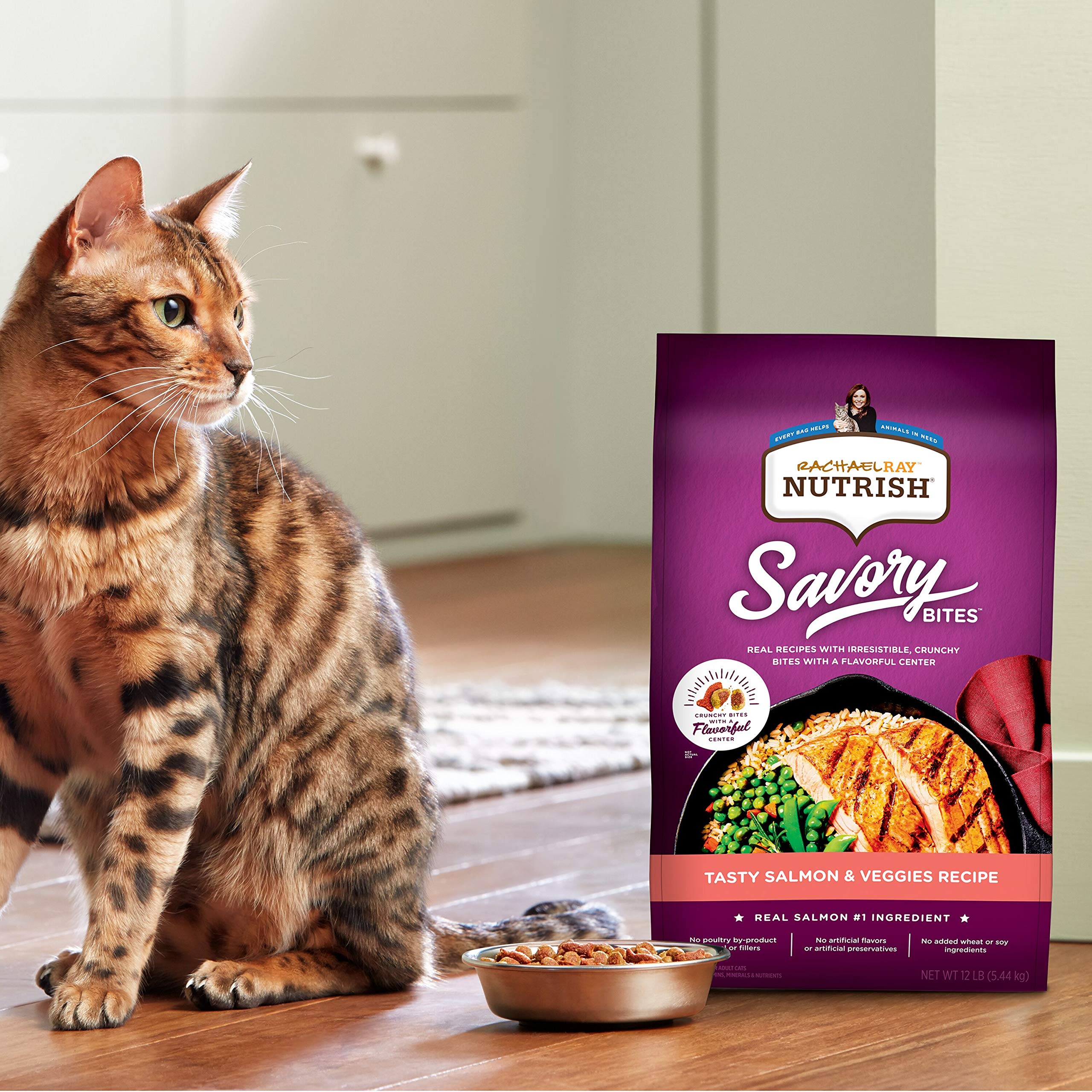 Rachael Ray Nutrish Savory Bites Dry Cat Food, Tasty Salmon & Veggies Recipe, 5 Pound Bag