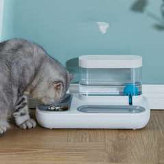 Automatic Drinking Fountain