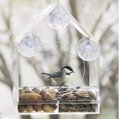 Bird feeder