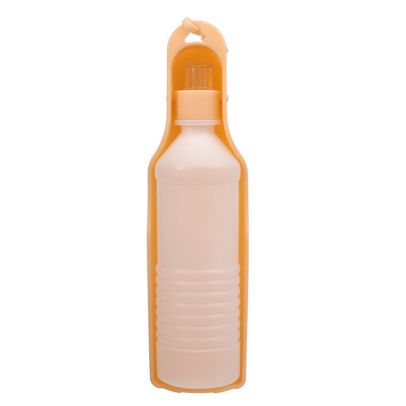 Pet water bottle
