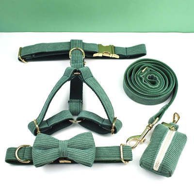 Green Velvet Dog Collar Leash