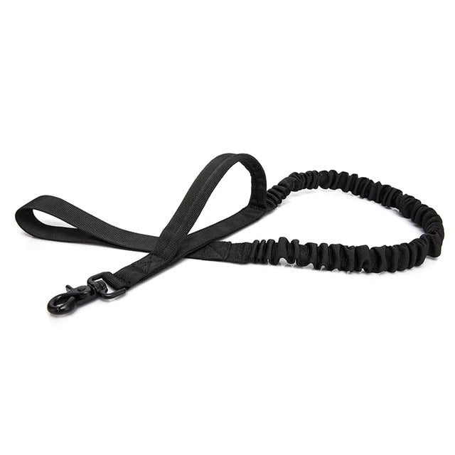 Pet Dog Leash