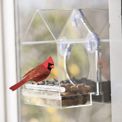 Bird feeder