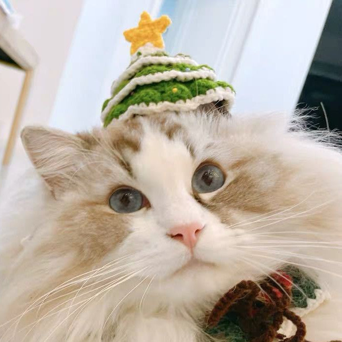 Pet Christmas Hat