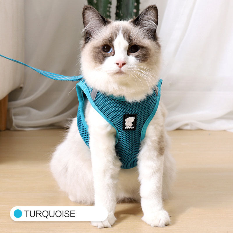 cat harness