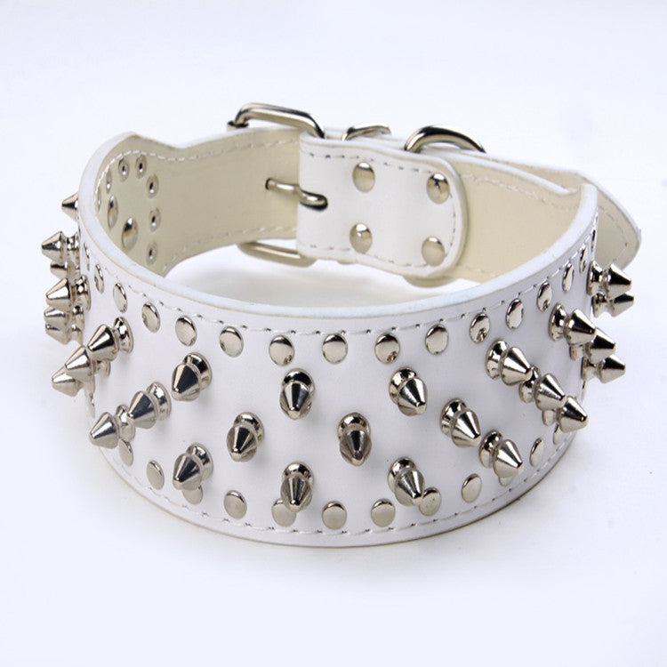 dog rivet collar